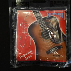 KARUNA Acoustic HAWAIN STRING